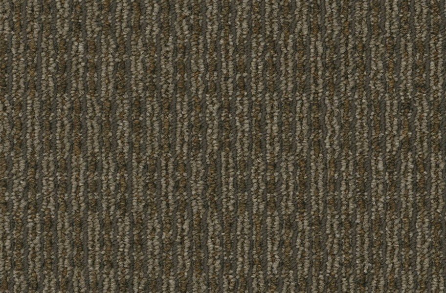 Pentz Rogue Carpet
