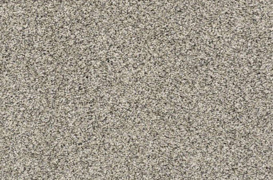 Shaw Charmed Hues Waterproof Carpet