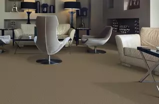 Pentz Uplink Carpet