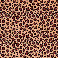 Leopard Indoor Outdoor Rug