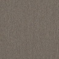 Shaw Profusion Carpet Tile