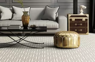 Joy Carpets Park Place Carpet