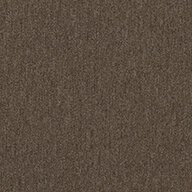 Shaw Profusion Carpet