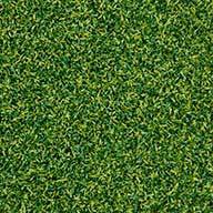 Putting Green Turf Rolls