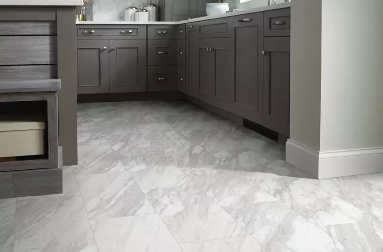 Shaw Paragon Tile Plus 12