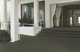 Shaw Succession II Outdoor Carpet
