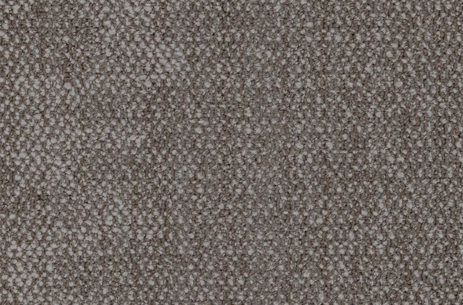 EF Contract Seep Carpet Planks