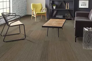 Shaw Disclose Carpet Tile