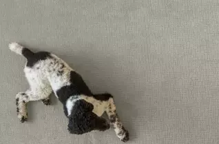 Anderson Tuftex Faux Paw