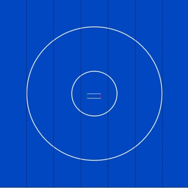 10' & 28' Competition Circles for Wrestling Mats – Add-On Only (Requires Wrestling Mat Purchase)