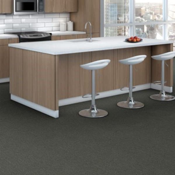 Shaw Profusion 20 Carpet in Heaps — modern living area with dark gray carpet