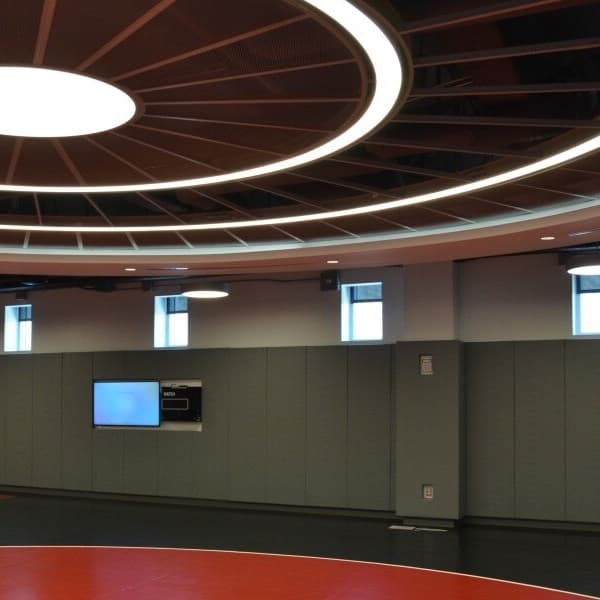 Gray wall pads in a gymnasium.