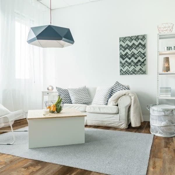 Living room with wood plank flooring under a gray rug and white sofa