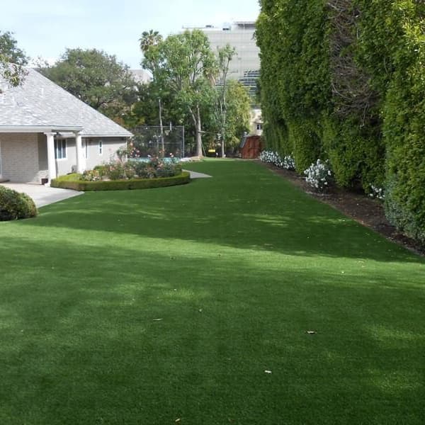 Tacoma Turf Rolls Field/Olive Green artificial grass in a backyard lawn