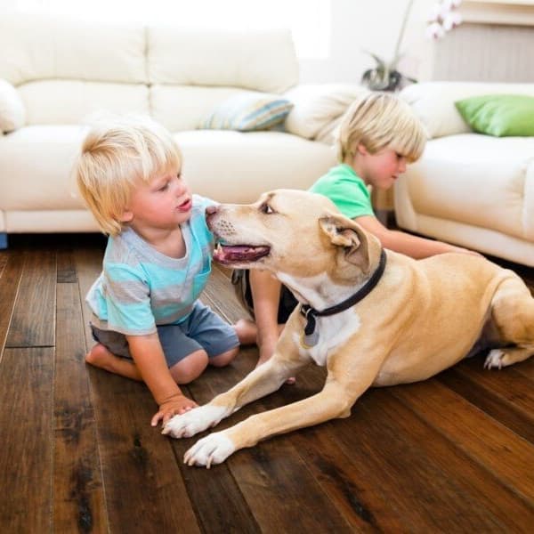 Engineered hardwood in a family room with two kids and a dog playing in front of white couches.