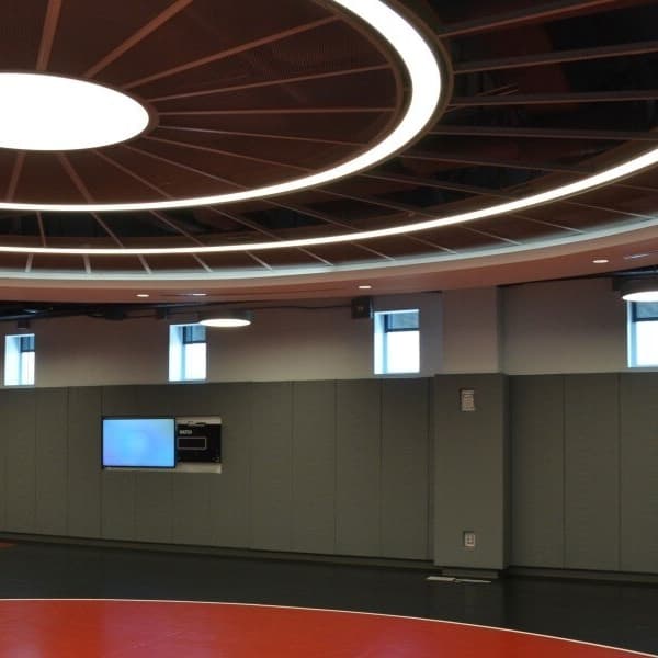 Gray walls pads in a gymnasium.