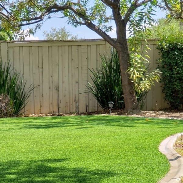 Backyard with No Limit Turf Rolls in Field/Olive Green covering the ground, bordered by a stone path and surrounded by trees