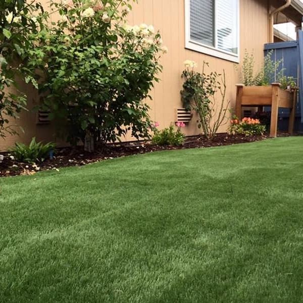 Monterey Elite Turf Rolls — Emerald/Olive Green artificial grass backyard