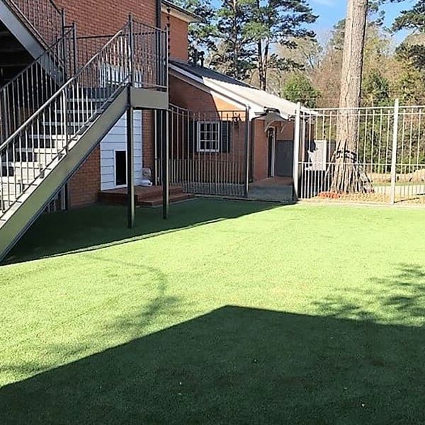 Artificial grass in backyard.